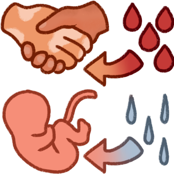 a pair of shaking hands with an arrow connecting them and four thick red droplets, above a simple fetus with an arrow connecting them and four thin water drops. The arrows match the colors of the symbols they're connecting.